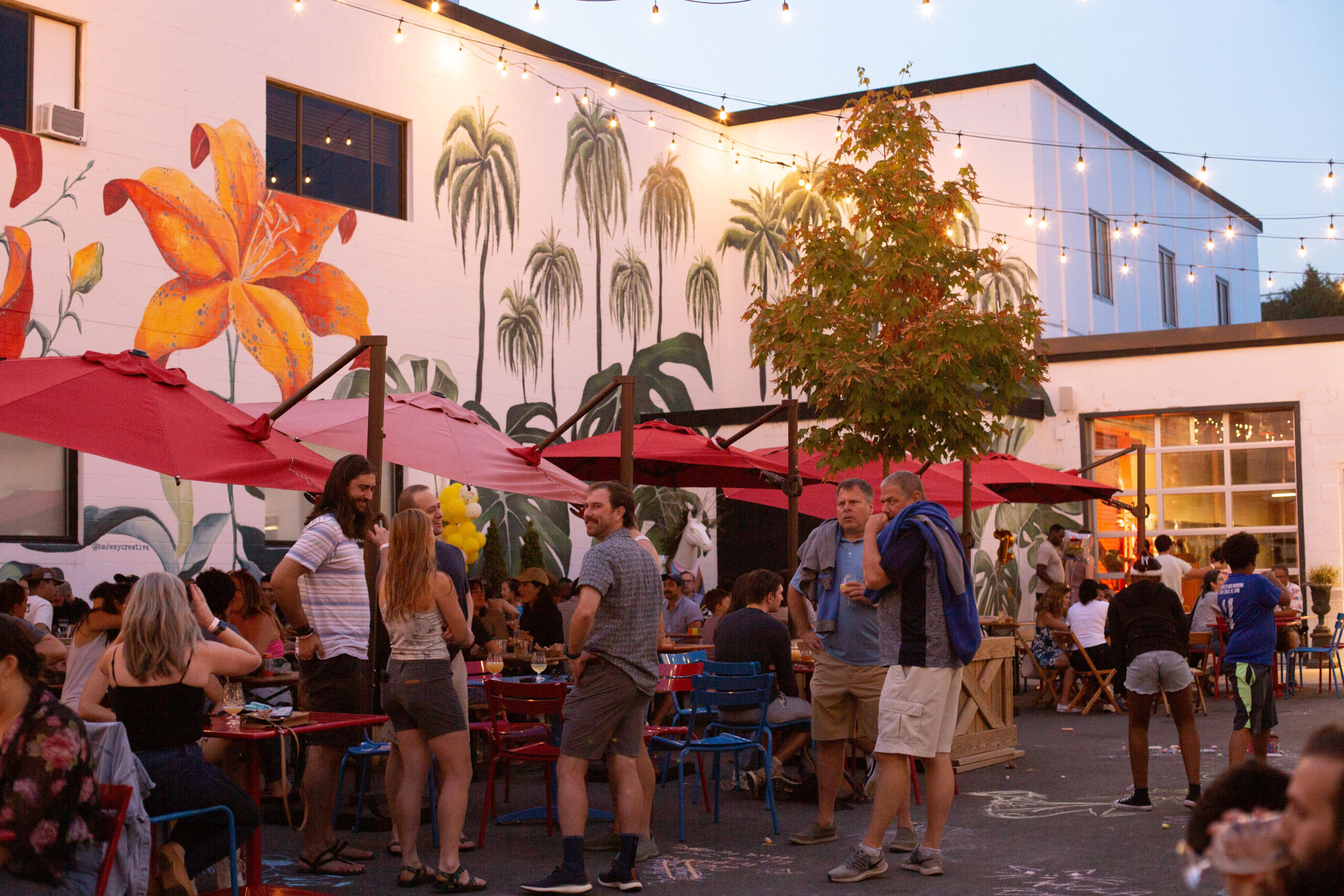 Patio-4